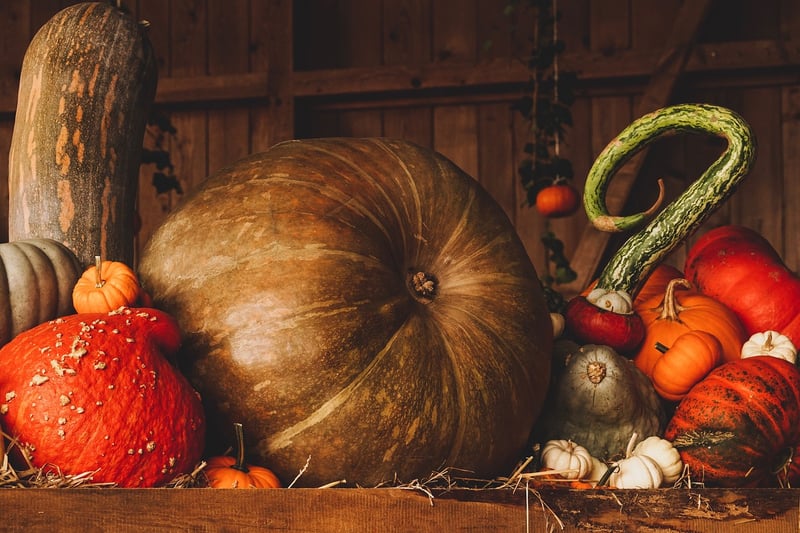 Moonbeam harvest