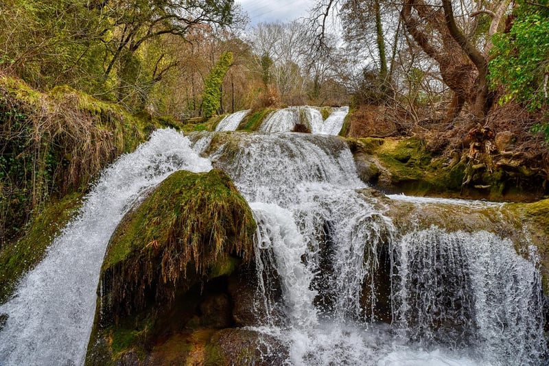 Enchanted Forest Falls