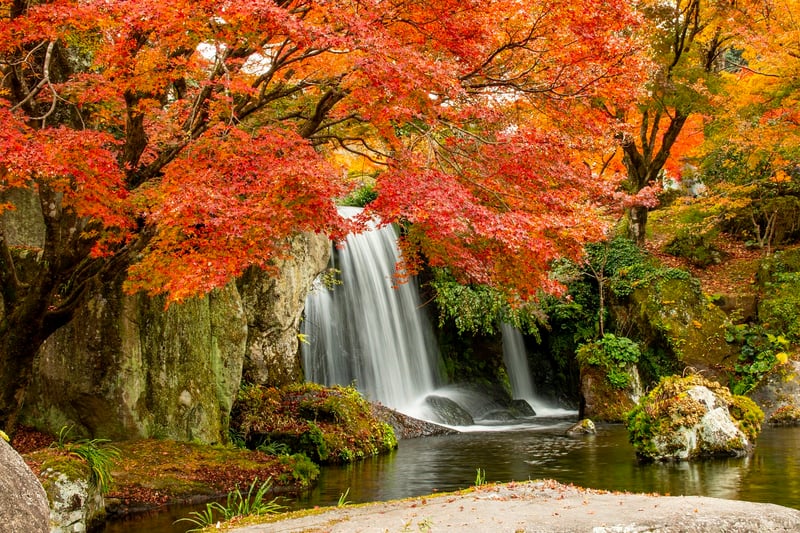 Whispering Willow Waterfall
